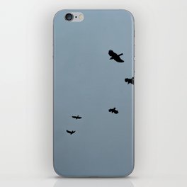  Ravens Flying Foggy Sky iPhone Skin