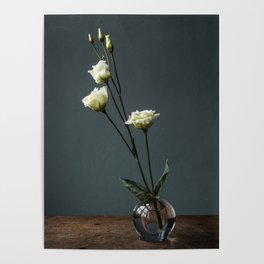 Photo print of white roses in glass vase against green background Poster