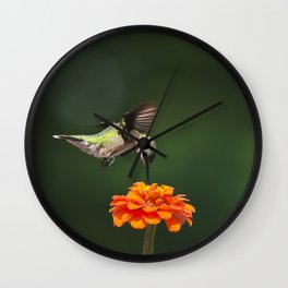 Ruby Throated Hummingbird IV Wall Clock