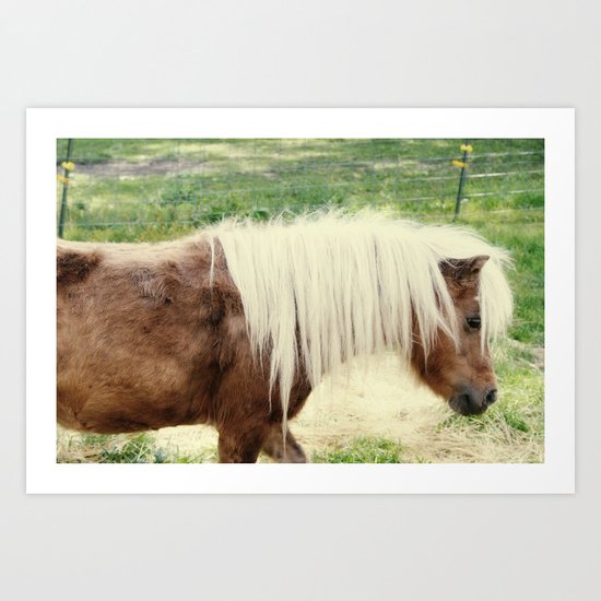 Pony Art Print