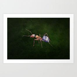 Formica (Wood Ant) Art Print