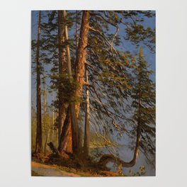 Park at Vancouver (ca 1889) - Albert Bierstadt Poster