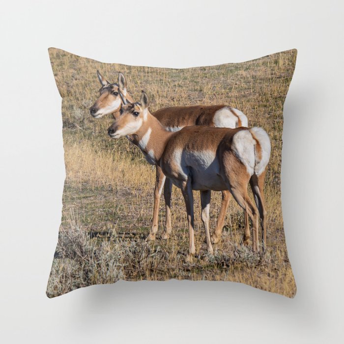 Pronghorns In Wyoming Throw Pillow