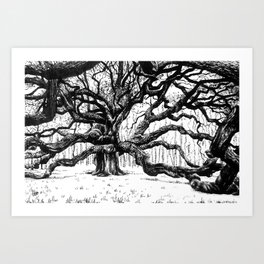 Angel oak tree Art Print