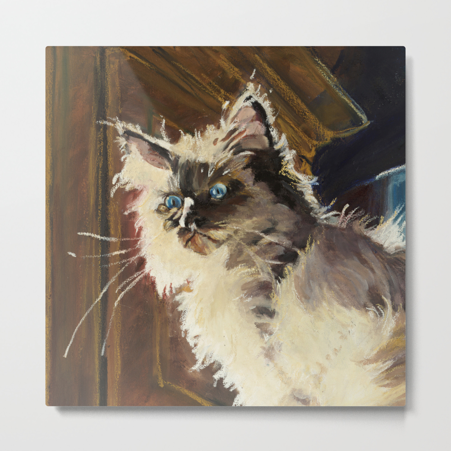 The Magnificent Ascent Of The Mighty Bear Detail Ragdoll Kitten