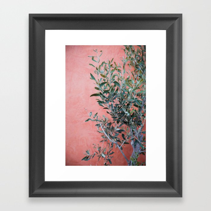 Olive tree | colorfull street photography | Fine print Art  Framed Art Print