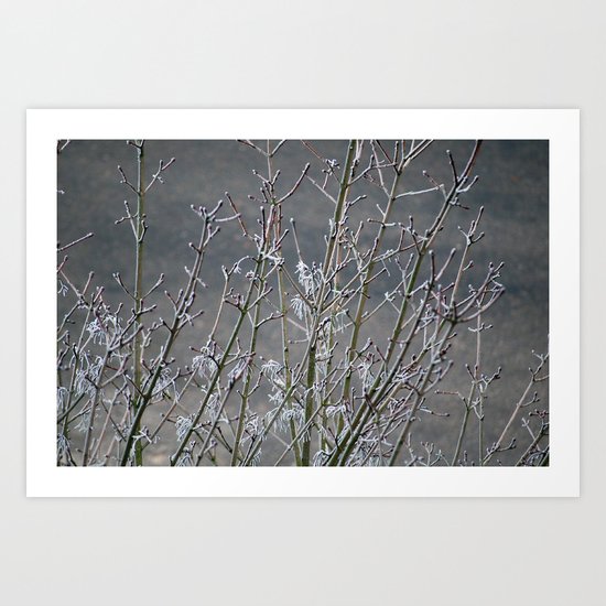 Frost Art Print