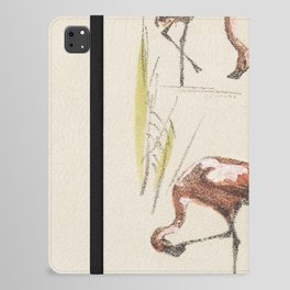 Flamingos Art Nouveau iPad Folio Case