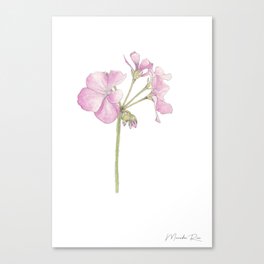 Pink Flower Canvas Print