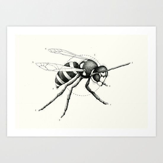 'Wildlife Analysis I' Art Print