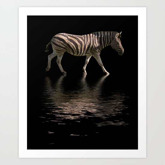 Zebra Reflections Art Print
