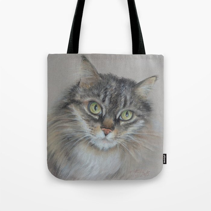 Tabby Cat Maine Coon Portrait Pastel Drawing On The Grey