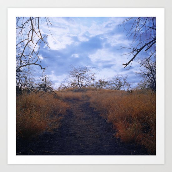 Hawaiian Trail Art Print