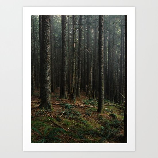 Gorge Woods Art Print