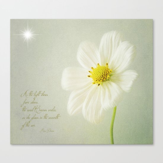 Cosmos Canvas Print