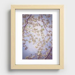Spring Lullaby (cool version) x Dogwood Blooms Art Recessed Framed Print