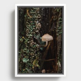 Mushroom in a Tree Framed Canvas