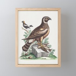 Vintage bird illustration Framed Mini Art Print