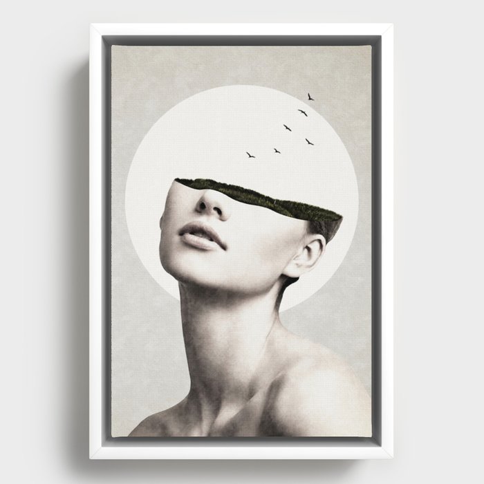 Framed Canvas