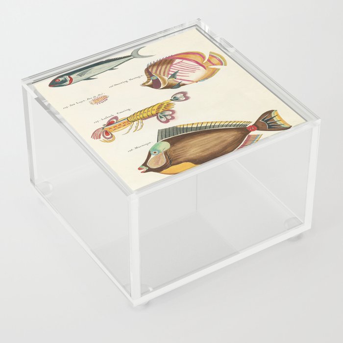 Louis Renard Acrylic Box