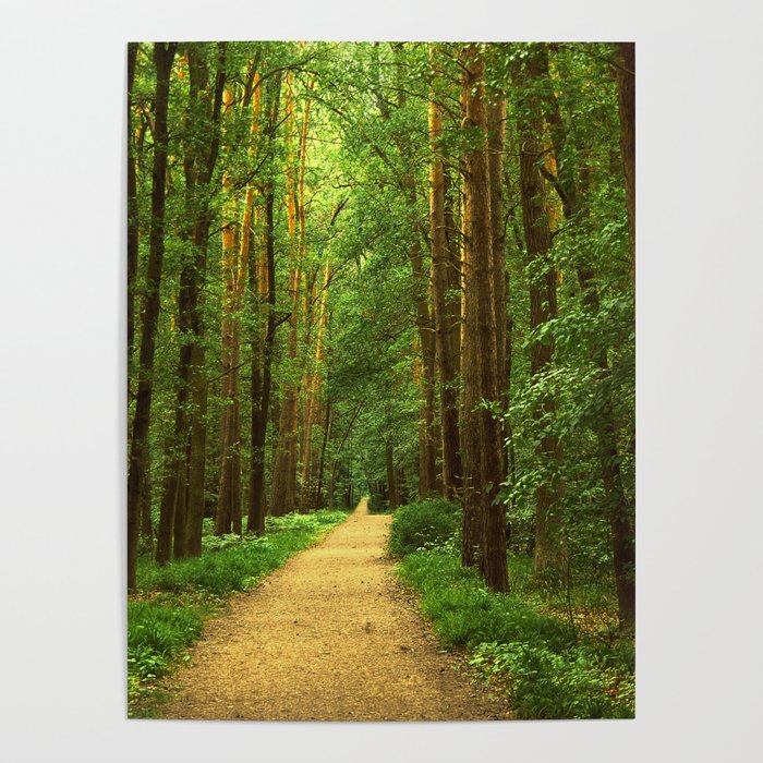 Forest path Poster