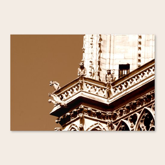 Protectors Canvas Print
