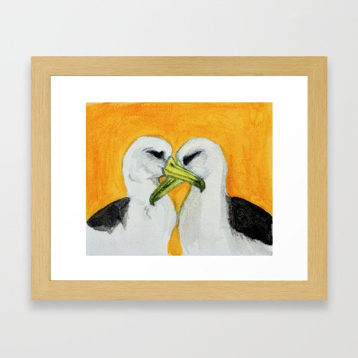 Orange Albatross Pair in Love Framed Art Print