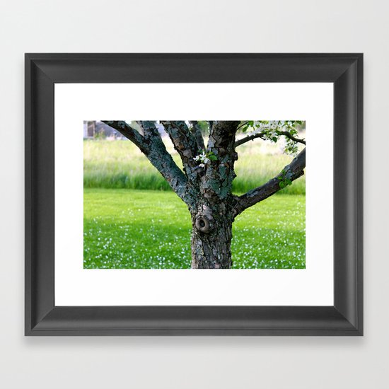 Spring Framed Art Print