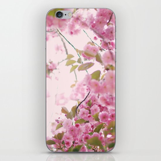 Cherry Blossoms iPhone & iPod Skin