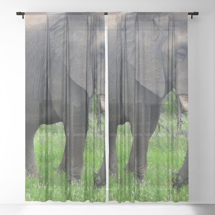 South Africa Photography - An Elephant On The Green Grassy Field Sheer Curtain