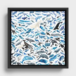 A Celebration of Cetaceans Framed Canvas