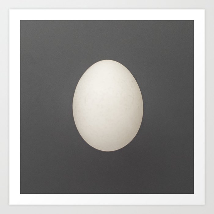 white egg Art Print