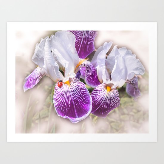 Gladiolus and ladybug Art Print
