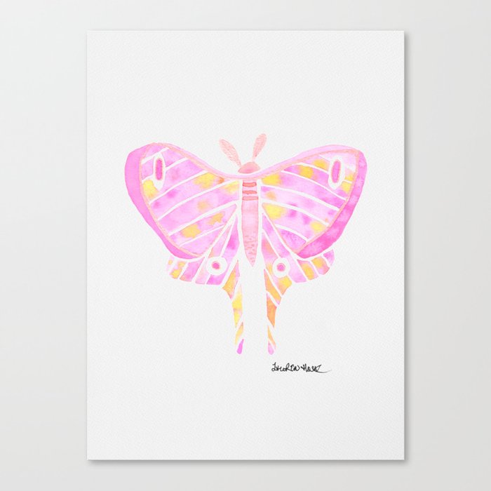 Moth Design- Watercolor Painting-Pink and Yellow Canvas Print