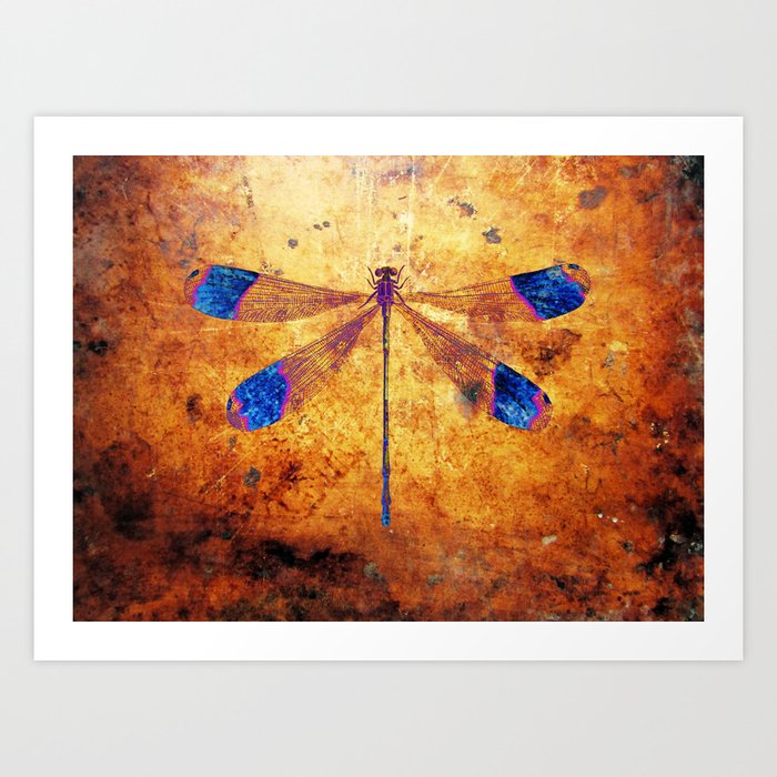Dragonfly in Amber Art Print