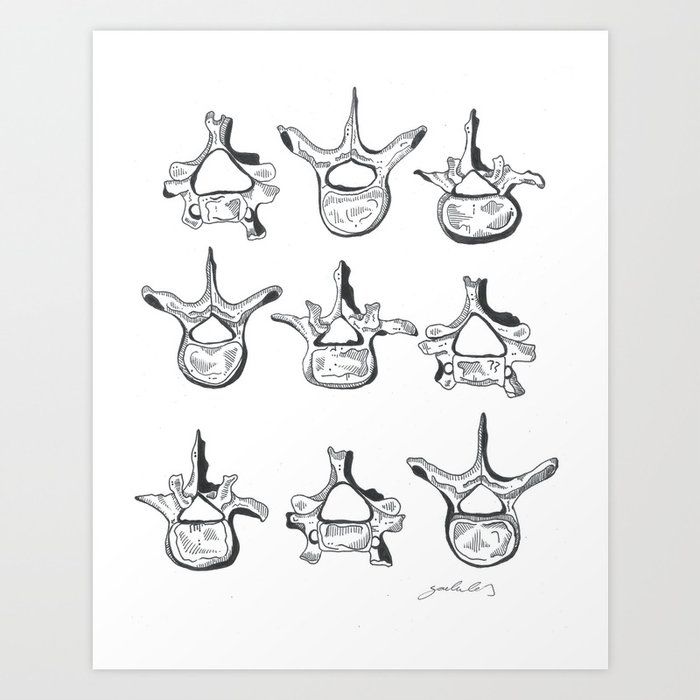 Vertebrae Art Print