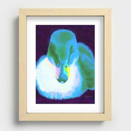 Fluffy Little Duckling Recessed Framed Print