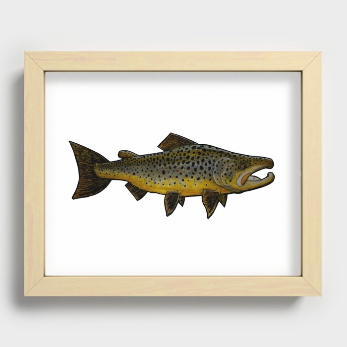 Brown trout Recessed Framed Print