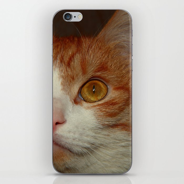 Cat addicted iPhone Skin