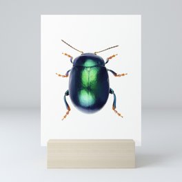 Chrysolina Herbacea Mini Art Print
