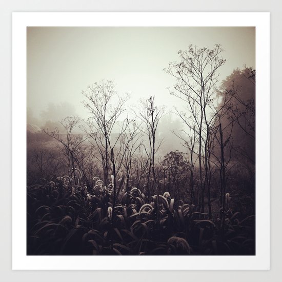 Morning Meditation Art Print