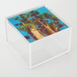 Elephant Foot Acrylic Box