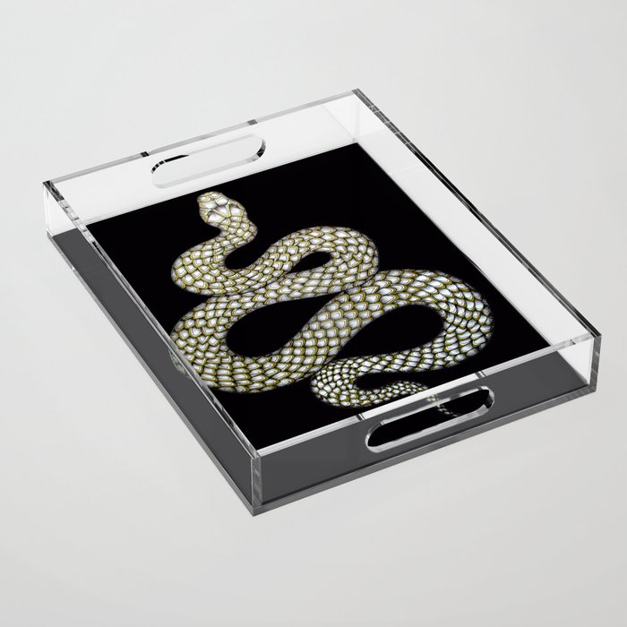 Snake's Charm in Black Acrylic Tray