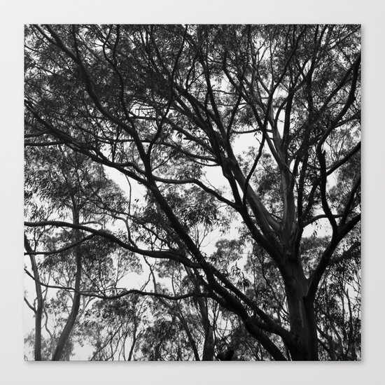 Take a Minute Just to Breathe Canvas Print