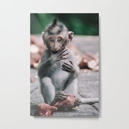 Baby monkey in The Monkey Forest Bali | Travel Photography  Metal Print | Baby, Forest, Ubud, Trees, Bali, Outdoors, Indonesia, Potato, Landscape, Photo 