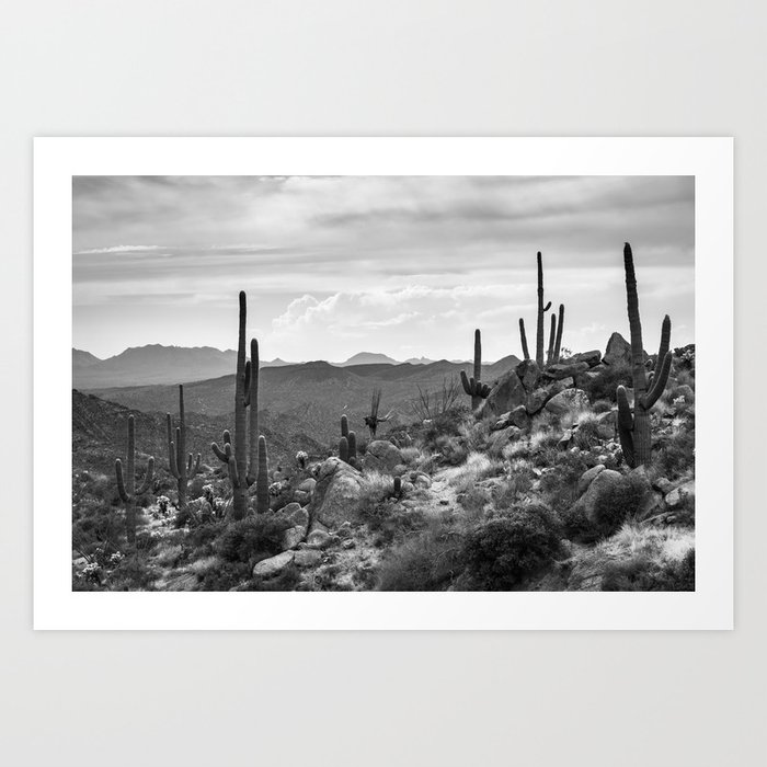 Black and White Desert Landscape With Saguaros Art Print