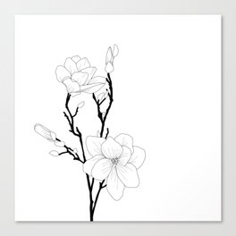 Branch of Magnolias Canvas Print