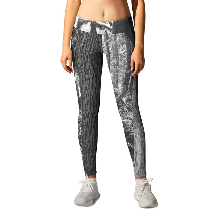 Forest Wonderland - Black and White Nature Photography Leggings