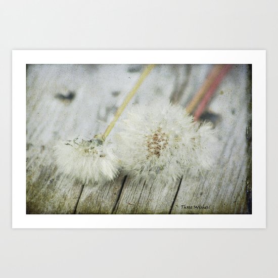 Three Wishes Art Print