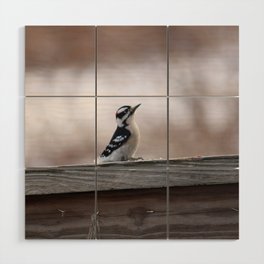 Mini Woodpecker (photography) Wood Wall Art